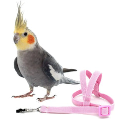 Pet Parrot Bird Harness And Leash Flying Rope Straps Outdoor Training Traction Rope For Budgerigar Cockatiel Supplies