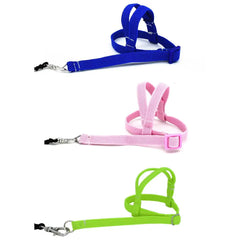 Pet Parrot Bird Harness And Leash Flying Rope Straps Outdoor Training Traction Rope For Budgerigar Cockatiel Supplies