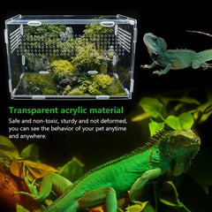 Reptile Breeding Box Lizard Centipede Spider Chameleon Terrarium Ornamental Box Acrylic Terrarium Transparent Box Pet Supplies