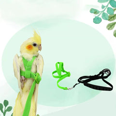 Pet Parrot Bird Harness And Leash Flying Rope Straps Outdoor Training Traction Rope For Budgerigar Cockatiel Supplies