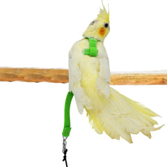 Pet Parrot Bird Harness And Leash Flying Rope Straps Outdoor Training Traction Rope For Budgerigar Cockatiel Supplies