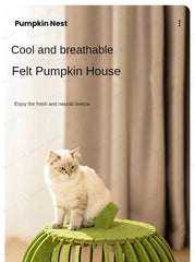 Pumpkin House Felt Cat Nest Fresh and Breathable Cat Bed Semi-enclosed Summer Pet Nest Practical Pet Furniture cat bed