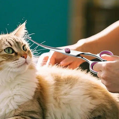 Curved Dog Grooming Scissors Curved Dog Trimmer Trimming Hair Scissors Safety Pet Tool With Round Tips Professional Grooming