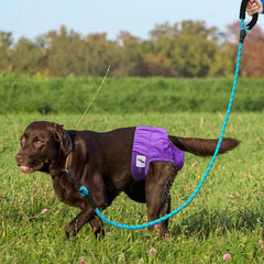 Pet Soft Diapers Puppy & Doggy Diapers Washable Reusable Highly Absorbent Dog Heat Panties With Strong & Flexible Closure For