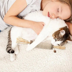 Cat Toys Silvervine Chew Stick Pet Snacks Sticks Natural Stuff With Catnip For Kitten Cats Cleaning Teeth Cat Accessories