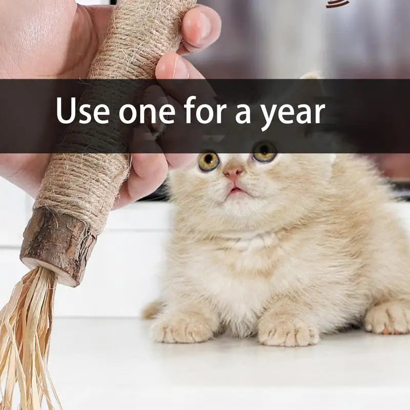 Cat Toys Silvervine Chew Stick Pet Snacks Sticks Natural Stuff With Catnip For Kitten Cats Cleaning Teeth Cat Accessories