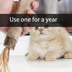 Cat Toys Silvervine Chew Stick Pet Snacks Sticks Natural Stuff With Catnip For Kitten Cats Cleaning Teeth Cat Accessories