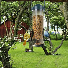 Wild Bird Seed Feeder Multiple Holes Bird Feeder Pet Bird Feeder Hanging Garden Paddock Bird Feeding Tool Outdoor Decoration