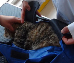 Portable and foldable pet carrying bag for cats, anti-scratch and bite, fixed cat bag for vaccination.