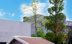 Solid Wood Dog House Large Outdoor Dog House Pet Dogs Park Pets Puppy Bed's Dogs Kennel Crate Little Houses and Rooms for Living