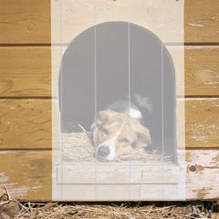 Dog House Dog Door Curtain Curtain PVC Transparent Pet Flap Replacement Patio Plastic Strips Doggy Door Cat Flap
