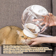 Cat Muzzle Cat Grooming Masque Clear Cat Adjustable Hood Pet Grooming Cover Accessory Prevent from Cats Biting Chewing
