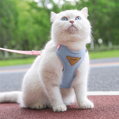 Cat Puppy Outdoor Walking Supplies Fashion Pet Harness and Leash Set for Small Dogs Cats Breathable Durable Kitten Harnesses