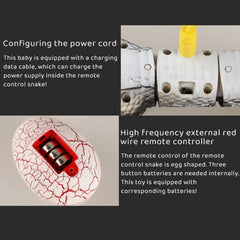 Interactive Cat Toys Realistic Simulation RC Remote Control Snake Toy Moving Electric Tricky Snake Cat Toys For Indoor Cats Dogs