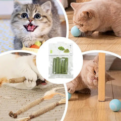 5Pcs Cat Grass Sticks Pet Edible Snacks Teeth Grinding Stick Cat Mild Cleaning Teething Sticks Hairball Removal Teeth Cleaning
