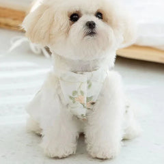 Pet Clothing Dogs Dresses Puppy Breathable Lace Floral Skirt Ribbon Bow Cat Dog Double-layer Princess Dress with Traction Buckle
