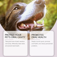 Pet Teeth Cleaning Pen Pet Dental Pen dog Toothbrush Pen Fresh Breath Tooth Whitening Cat Teeth Refreshing Pen pet supplies