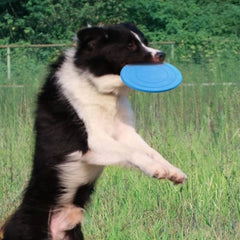 Dog pet toys Round toys bite resistant non-toxic outdoor floating training dog exercise throwing toys pet supplies