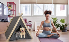 Pet Tent House Foldable and Removable Portable Comfortable and Breathable Cat House Stable Dog House with Thick Pad Pet Supplies