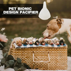 For New born Kittens Puppies Rabbits Small Animals Universal Pet Feeding Nipple Mini Silicone Feeding Pacifier Kitten Feeder