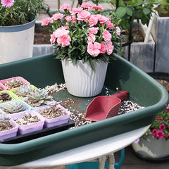 Versatile garden nursery planters, litter boxes, pet litter boxes, gardening supplies for indoor and outdoor gardens
