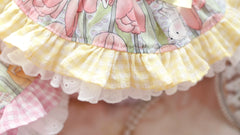 Pet Dresses for Small Dogs Female Dog Luxury Princess Dog Clothes with Bow Lace Ruffles Pink Cute Puppy Skirt for Yorkie Maltese