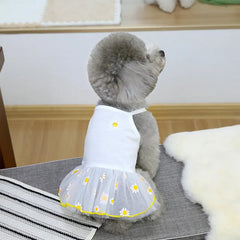 Cute Pet Dog Dress for Small Dogs Thin Puppy Princess Skirt Dog Clothes Chihuahua York Clothing Pet Supplies