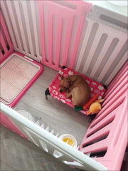 Portable Elevated Dog Bed Outdoor Pet Bed Summer Cat Bed Pet Camping Removable Washable Small Pet Hammock Outdoor Dog Bed