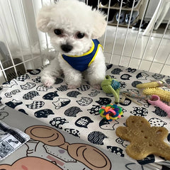 Portable Elevated Dog Bed Outdoor Pet Bed Summer Cat Bed Pet Camping Removable Washable Small Pet Hammock Outdoor Dog Bed