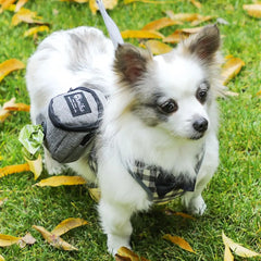 Pet Dog treat pouch Portable Multifunction Dog training bag Outdoor Travel Dog Poop Bag Dispenser Durable Pet accessories
