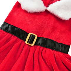 Pet Dog Dresses for Small Dogs Cat Christmas Party Red Princess Skirt Puppy Xmas Dress Chihuahua Yorkies Pug Poodle Costume