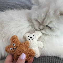 Pet Cat Mint Doll Plush Dog Toy Teddy Toy Pomerian Dog Accessories Dog Toys for Small Dogs Puppy Toys