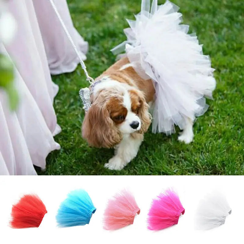 Pet Puppy Small Dog Lace Skirt Princess Tutu Dress Clothes Apparel Costume Cute Pet Shop Tudo Para Caes Puppy Clothes Dog Dress