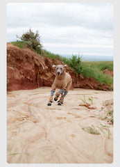 Pet Outdoor Shoe Cover Portable Anti-dirt and Non-slip Dog Shoes Foot Cover Velvet Wear-resistant Pet Products Supplies