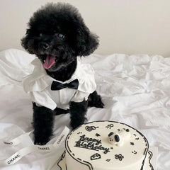 Pet Dress for Dog Small Dogs Summer Pet Plaid Dog Suspender Skirt Cute Cat Princess Dress Luxury Pet Shirt Chihuahua Dog Clothes