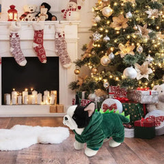 Dog Dinosaur Design Costume Cat Dog Dinosaur Hoodies Soft And Warm Pet Clothes Funny Costume For Dog Cat