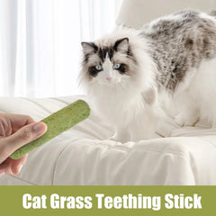 5Pcs Cat Grass Sticks Pet Edible Snacks Teeth Grinding Stick Cat Mild Cleaning Teething Sticks Hairball Removal Teeth Cleaning