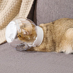 Cat Muzzle Cat Grooming Masque Clear Cat Adjustable Hood Pet Grooming Cover Accessory Prevent from Cats Biting Chewing