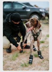 Pet Outdoor Shoe Cover Portable Anti-dirt and Non-slip Dog Shoes Foot Cover Velvet Wear-resistant Pet Products Supplies