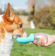 pet water cup for going out pet water cup for accompanying pet outdoor multi-function water feeder portable pet drinking cup