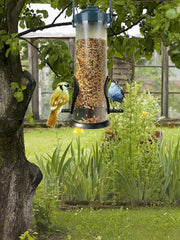 Wild Bird Seed Feeder Multiple Holes Bird Feeder Pet Bird Feeder Hanging Garden Paddock Bird Feeding Tool Outdoor Decoration