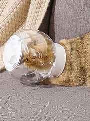 Cat Muzzle Cat Grooming Masque Clear Cat Adjustable Hood Pet Grooming Cover Accessory Prevent from Cats Biting Chewing