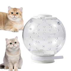 Cat Muzzle Cat Grooming Masque Clear Cat Adjustable Hood Pet Grooming Cover Accessory Prevent from Cats Biting Chewing