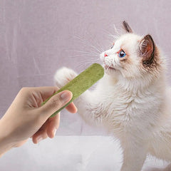 5Pcs Cat Grass Sticks Pet Edible Snacks Teeth Grinding Stick Cat Mild Cleaning Teething Sticks Hairball Removal Teeth Cleaning