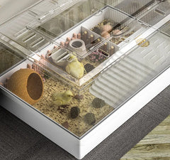 Small Pet House Large Space Transparent Pet Feeding Box Multi Functional Layered Area Luding Chicken Nest Breathable Pet Nest