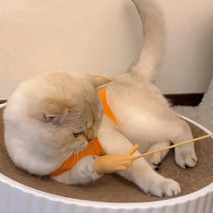 Cat Carrying Bag Space Pet Backpack Breathable Portable Transparent Backpack Puppy Dog Transport Carrier Space Capsule Bag Pets