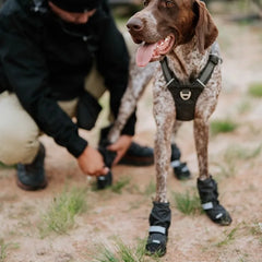 Pet Outdoor Shoe Cover Portable Anti-dirt and Non-slip Dog Shoes Foot Cover Velvet Wear-resistant Pet Products Supplies