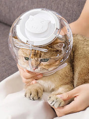 Cat Muzzle Cat Grooming Masque Clear Cat Adjustable Hood Pet Grooming Cover Accessory Prevent from Cats Biting Chewing