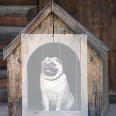 Dog House Dog Door Curtain Curtain PVC Transparent Pet Flap Replacement Patio Plastic Strips Doggy Door Cat Flap