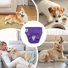 Pet Soft Diapers Puppy & Doggy Diapers Washable Reusable Highly Absorbent Dog Heat Panties With Strong & Flexible Closure For